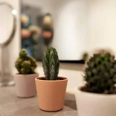 Soul-apartment Terrasse Privat-parkplatz Boxspringbett 55zoll Tv Wlan * Leipzig